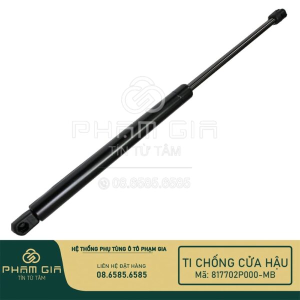 ti chống cửa hậu