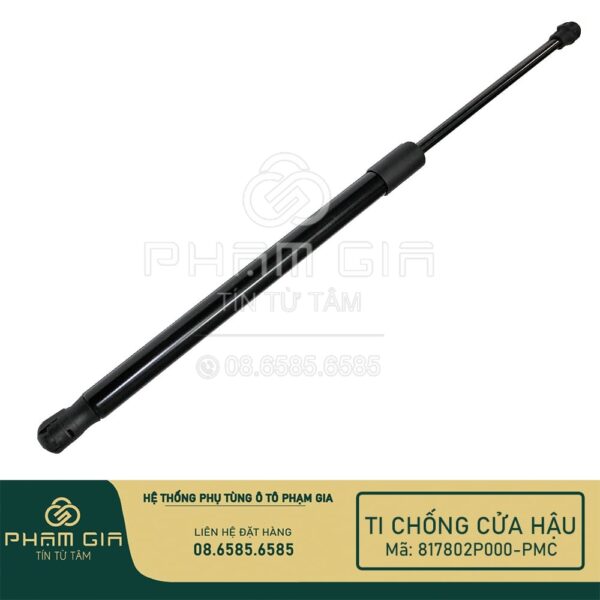 ti chống cửa hậu