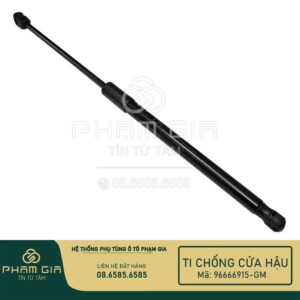 ti chống cửa hậu