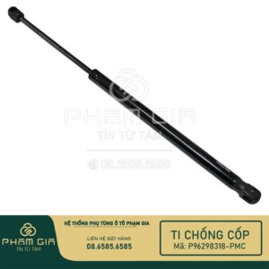 ti chống cửa hậu