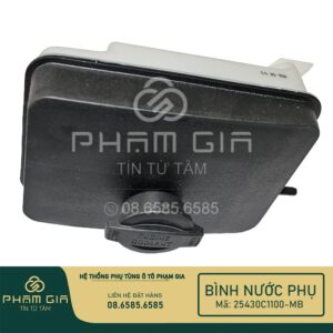 bình nước phụ xe ô tô