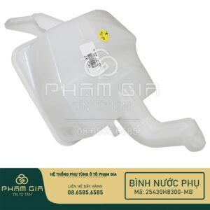 bình nước phụ xe ô tô