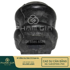 sao su cân bằng xe ô tô