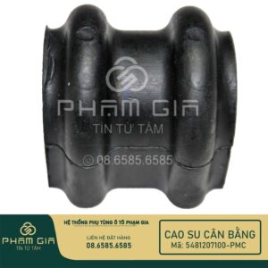 sao su cân bằng xe ô tô