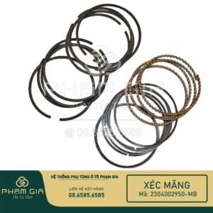 xéc măng xe ô tô