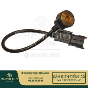 cảm biến tiếng gõ ô tô