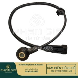 cảm biến tiếng gõ ô tô