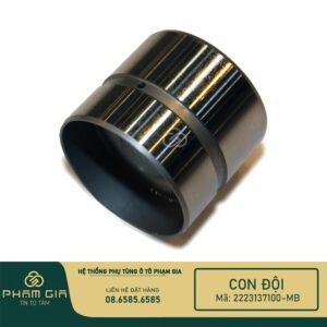 CON ĐỘI 2223137100-MB