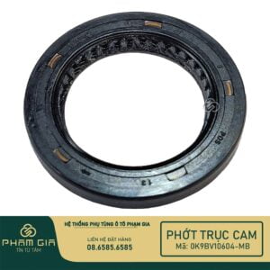 PHOT CAM 0K9BV10604-MB