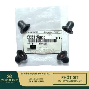 PHOT GIT 222242G000-MB