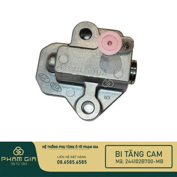 BI TANG CAM 244102B700-MB