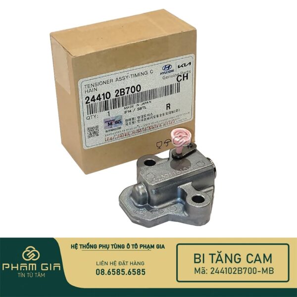 BI TANG CAM 244102B700-MB