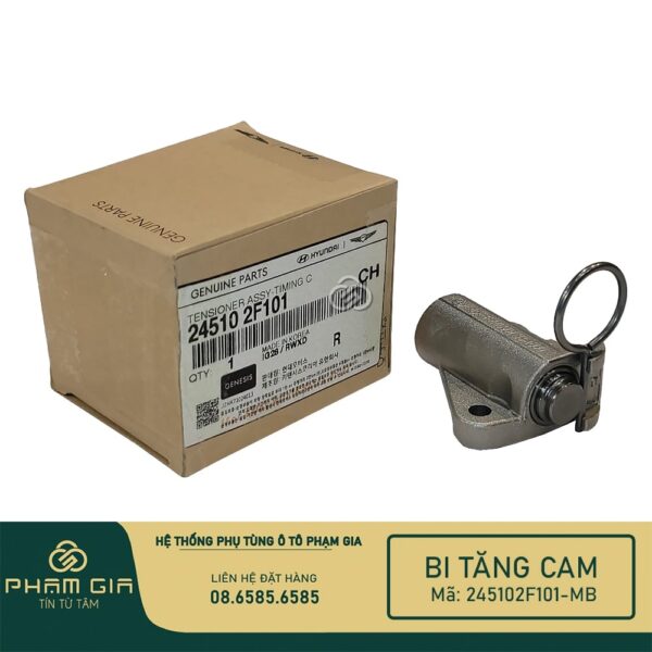 BI TANG CAM 245102F101-MB