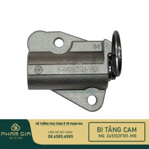 BI TANG CAM 245102F101-MB