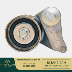 BI TANG CAM 248403E500-GATES