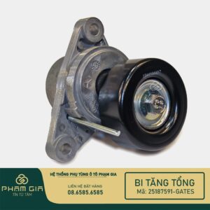 BI TANG TONG 25187591-GATES