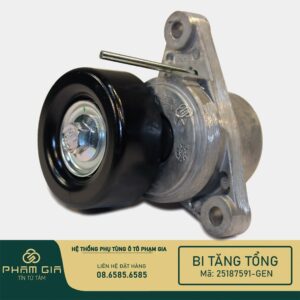 BI TANG TONG 25187591-GEN