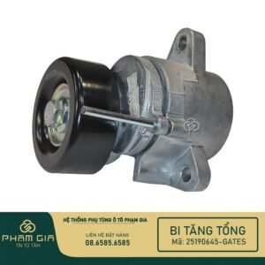 BI TANG TONG 25190645-GATES