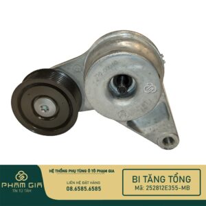 BI TANG TONG 252812E355-MB