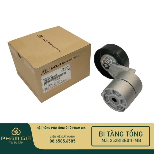 BI TANG TONG 252813E011-MB