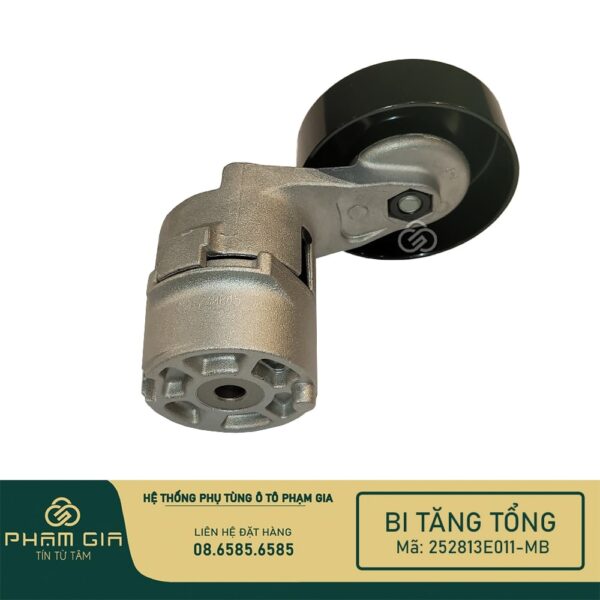 BI TANG TONG 252813E011-MB