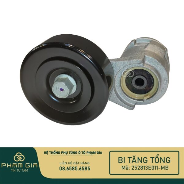 BI TANG TONG 252813E011-MB