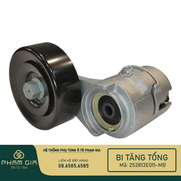 BI TANG TONG 252813E011-MB