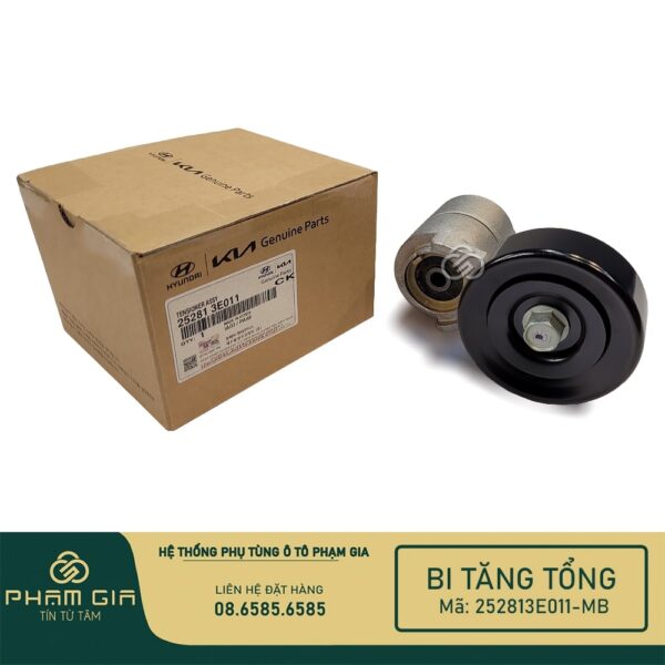 BI TANG TONG 252813E011-MB