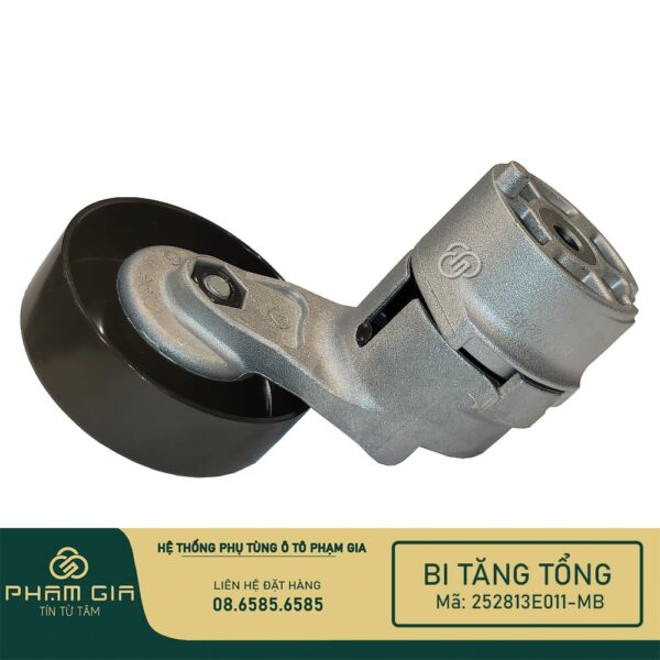 BI TANG TONG 252813E011-MB