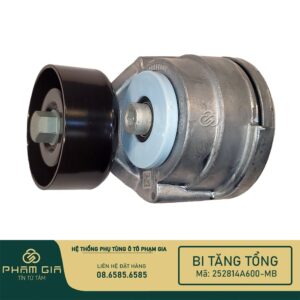 BI TANG TONG 252814A600-MB