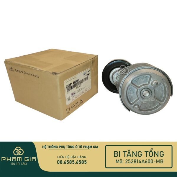 BI TANG TONG 252814A600-MB