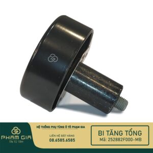 BI TANG TONG 252882F000-MB