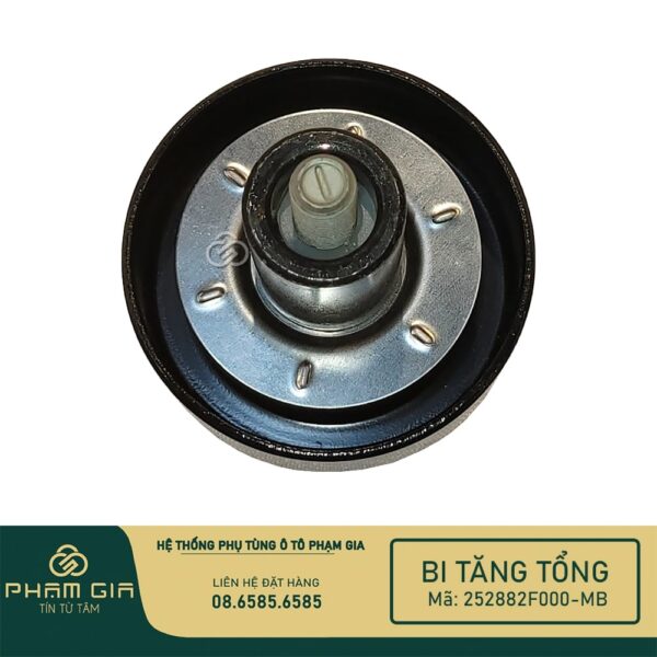 BI TANG TONG 252882F000-MB