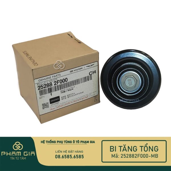 BI TANG TONG 252882F000-MB