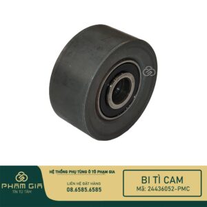 BI TI CAM 24436052-PMC
