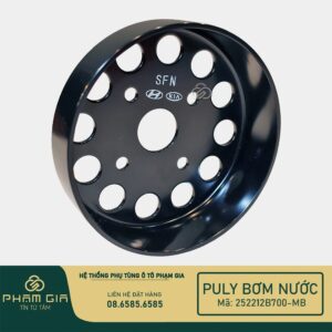 PULY BOM NUOC 252212B700-MB (2)