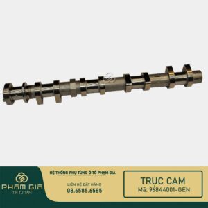 TRUC CAM XA 96844001-GEN