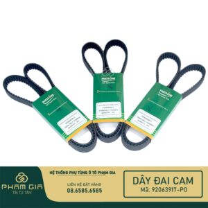 DAY DAI CAM 92063917-PO