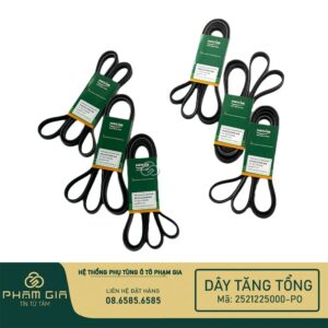 DAY TANG TONG 2521225000-PO