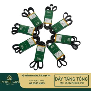 DAY TANG TONG 252122B000-PO
