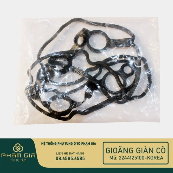 GIOANG GIAN CO 2244125100-KOREA