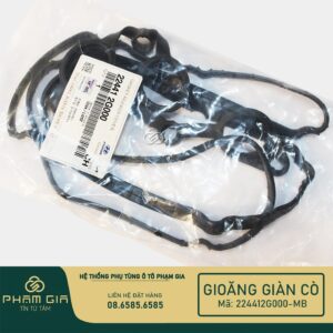 GIOANG GIAN CO 224412G000-MB