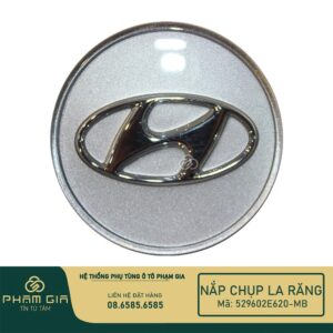NAP CHUP LA RANG 529602E620-MB