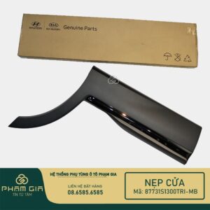 NEP CUA SAU TRAI 87731S1300TRI-MB