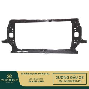 XUONG DAU XE 641011R300-PO