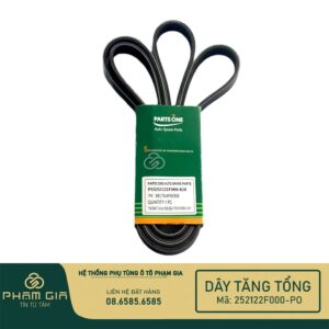 DAY TANG TONG 252122F000-PO