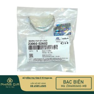 BAC BIEN 2306002602-MB