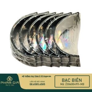 BAC BIEN 2306004911-MB