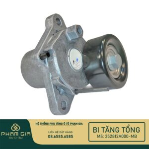 BI TANG TONG 252812A000-MB