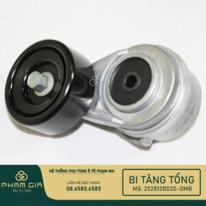 BI TANG TONG 252812B030-GMB